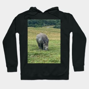 Rhino Hoodie